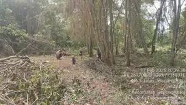 Tanah 8094 m2 Harga Terjangkau di Serpong Cocok untuk Cluster