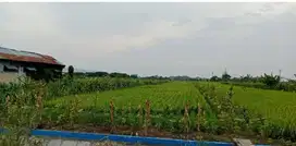 Di Jual Tanah Kedamean Jl. Dr Wahidin Sudirohusodo Kedamean Gresik