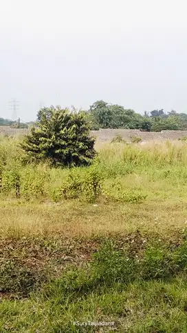 DIJUAL TANAH KOSONG STRATEGIS PINGGIR JALAN DESA RAWAKLONG GN SINDUR
