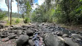 Tanah cocok untuk hunian atau villa dengan view sungai di tabanan