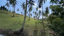 Di jual tanah dekat dengan pantai cocok untuk villa