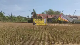 Tanah 2032 m2 SHM Pinggir Jalan Raya di Cigasong, Majalengka
