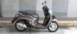 Honda Scoopy 202022