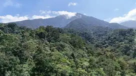 Jual tanah isi mata air view bagus di bawah kaki gunung Batukaru