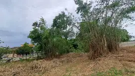 Kavling SHM Cileungsi Dekat Tol & Citraland, Cicilan 12x!