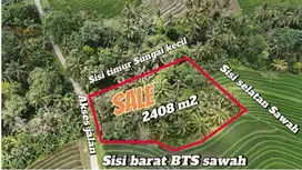 Di jual tanah kebun luas kecil view sawah Los sungai di tabanan bali.
