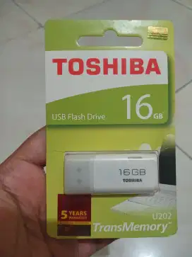 Flashdisk 16 Gb