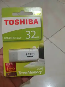 Flashdisk 32 Gb