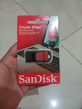 Flashdisk san disk 16 Gb