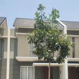 RUMAH SIAP HUNI BISA NEGO DI CLUSTER CITRALAND TALLASA CITY MAKASSAR