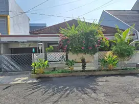Jual Rumah Siap Huni dan Nyaman Jl.Mawar Semarang Timur – 9911