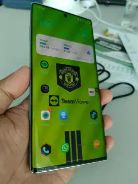 Samsung Galaxy Note 10 Plus Mulus Fullset