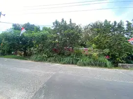 DIJUAL TANAH SHM - PINANG JAYA, LAMPUNG