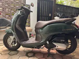 Scoopy Prestige 2023