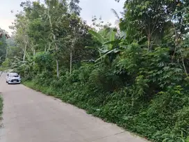 Tanah Murah Mancak Serang Strategis Pinggir Jalan