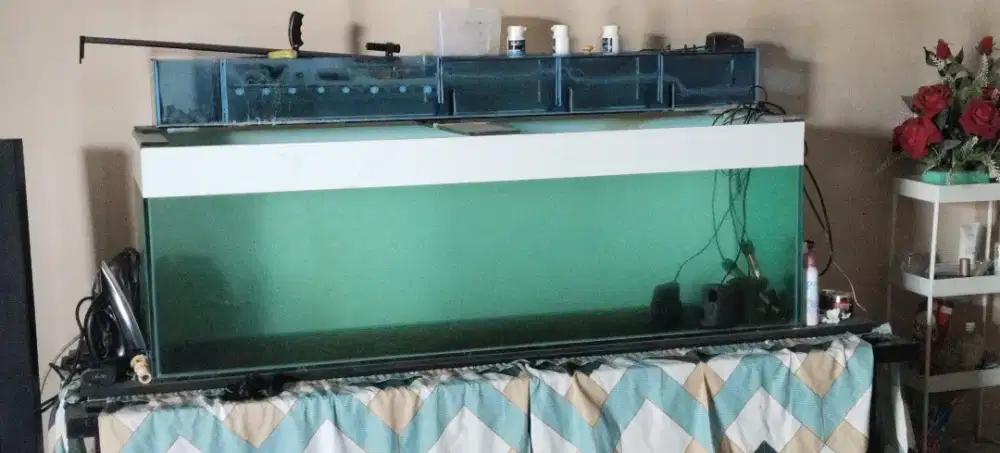 Aquarium 150x50x50