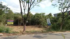 Tanah Di Trikora