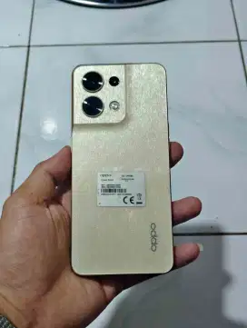 Oppo Reno 8 5G 8/256