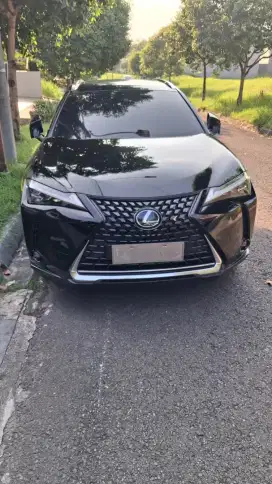 Lexus UX300e 2022 Listrik
