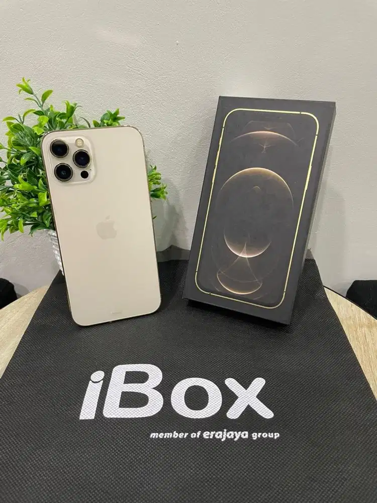 IPhone 12 ProMax 512GB iBox Gold mulus Fullset BH 100% Permanent