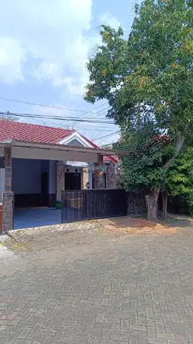Dijual Murah, Rumah Terawat di Blok Depan PBI Araya, Blimbing Malang