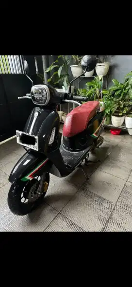 Jual benelli panara