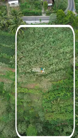 Dijual Tanah Kavling Di Daerah Petung sewu Wagir Kabupaten Malang