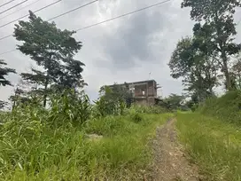 Tanah Lokasi UIN 3 Straegis Untuk Rukost 500 m Fakultas Kedokteran