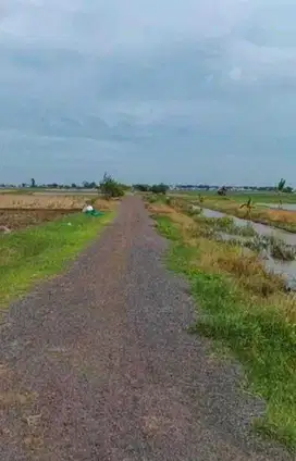 Tanah 2 Hektar Dekat Pelabuhan Patimban Siap Bangun Pabrik Gudang