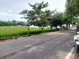 Tanah jarang ada, 150 mtr ke campus UIN Cimemcrang
