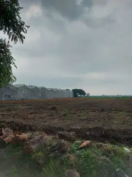 Lahan Industri Murah - Kawasan Ekonomi Khusus