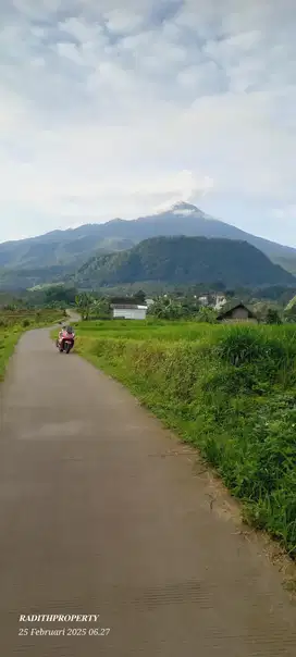 DI JUAL TANAH AREA WISATA TRAWAS VIEW GUNUNG AREA GATHEN HUTTE CAFFE