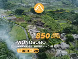 Jual Tanah Wonosobo Andongsili Pinggir Jalan View Indah