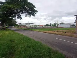 tanah murah patung jamu sukoharjo