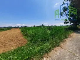 Dijual Sawah murah belakang pom bensin Teras Boyolali