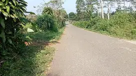 Tanah Kebun Lt. 6225 m, Pinggir Jalann Raya, Bojong, Purwakarta.