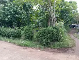 Dijual tanah di setu bekasi samping tol