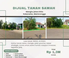 SAWAH STRATEGIS MANGKU JALAN RAYA KIKISAN COCOK UNTUK USAHA