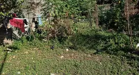 Dijual Lahan Mojosari Rejo, Driyorejo, Gresik