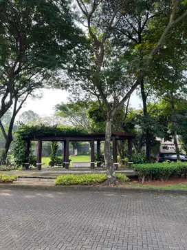 Kavling Tanah Cantek Cajuputi , De Park BSD