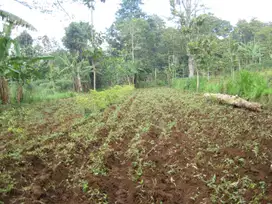 Dijual Tanah Cocok untuk Perumahan dan Wisata Strategis Mojokerto