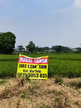 Dijual tanah Di pasuruan purwosari sukodermo bisa untuk pabrik