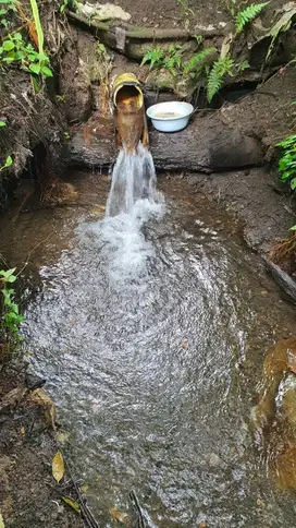 TANAH MURAH ADA MATA AIR COCOK BERKEBUN atau INVESTASI