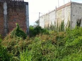 Tanah luas 100 m2 harga 550 juta di Kecamatan Rungkut, kota Surabaya