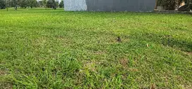 JUAL SECEPAT KILAT ! Tanah Kavling Suvarna Sutera view golf 299m2