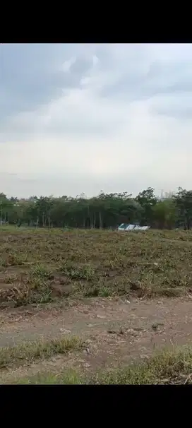 Dijual Lahan besar cocok untuk gudang atau perumahan