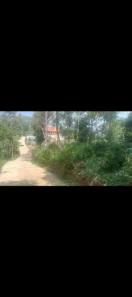 Tanah Kebun Murah 2450 m, Pinggir Jln, Bojong, Purwakarta.