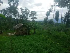 di jual tanah kebun subur di Cidahu sukabumi
