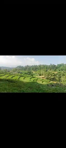Tanah Sawah 2800 m, Untuk camping ground, Bojong, Purwakarta.