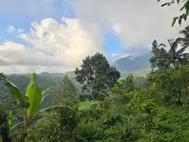 Dijual tanah murah view gunung dekat camp di bali
